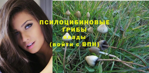 дурь Абаза